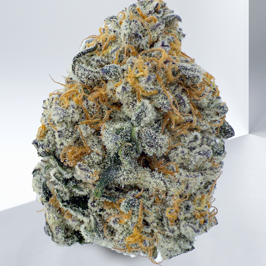 99166-378-Purple-Nuken.jpg
