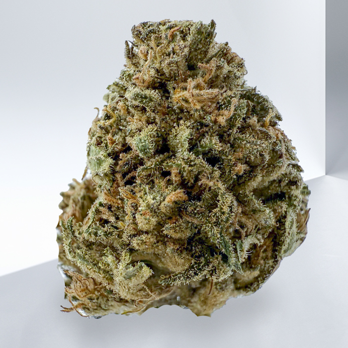 223-ALIEN-COOKIES-1.jpg