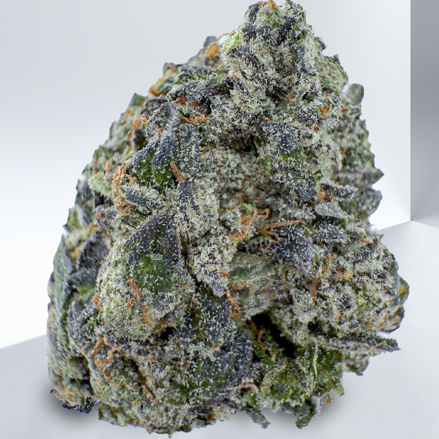 516-PinkTar.jpg